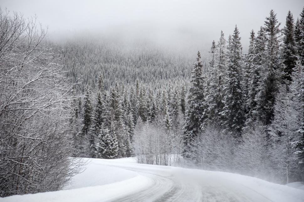 Winter School Timing